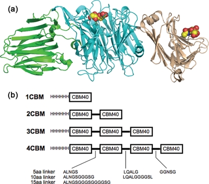 FIGURE 1.