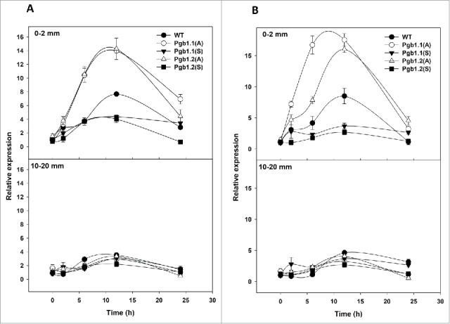 Figure 2.