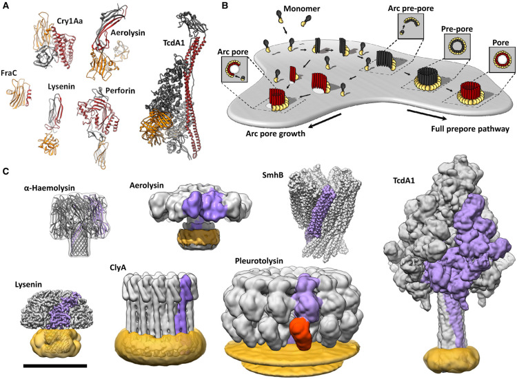 Figure 1.