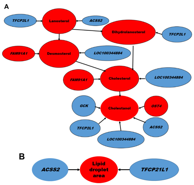 Figure 7