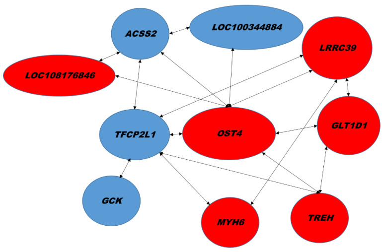 Figure 6