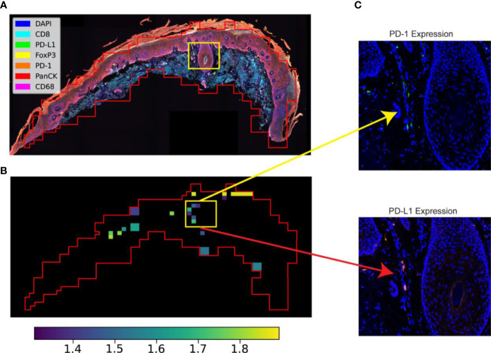 Figure 3