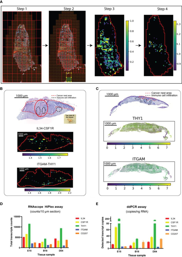 Figure 2