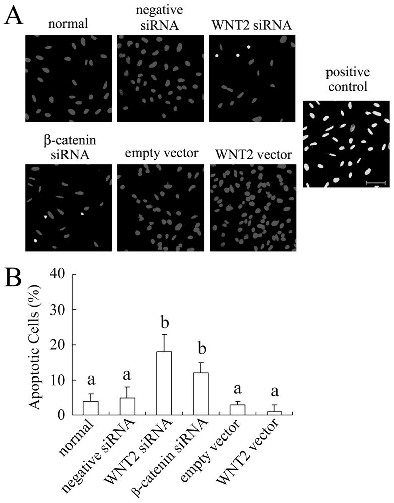 FIG. 8