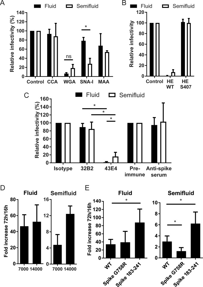 FIG 7