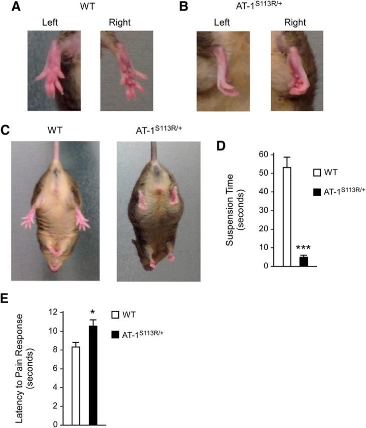 Figure 6.