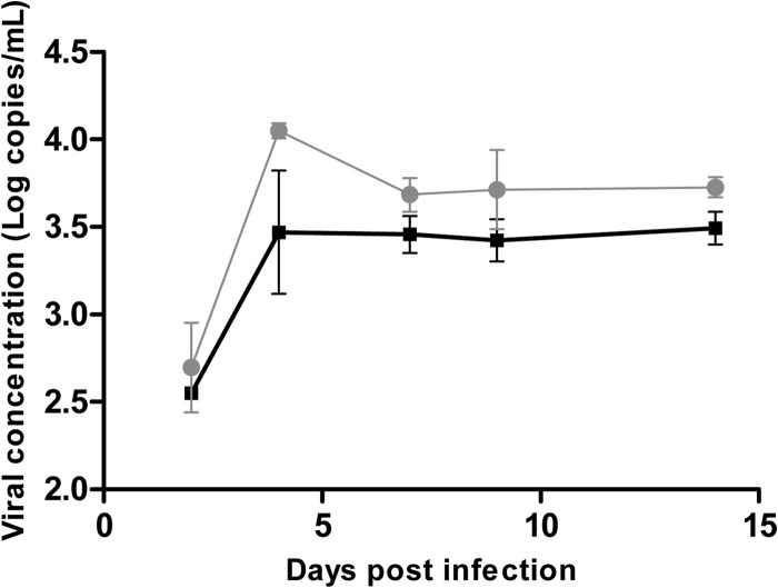 FIG 5