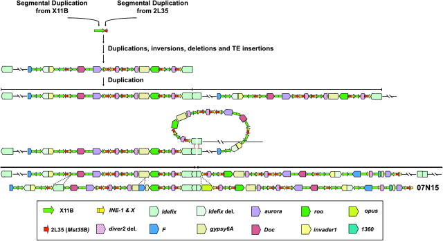 FIG. 2.