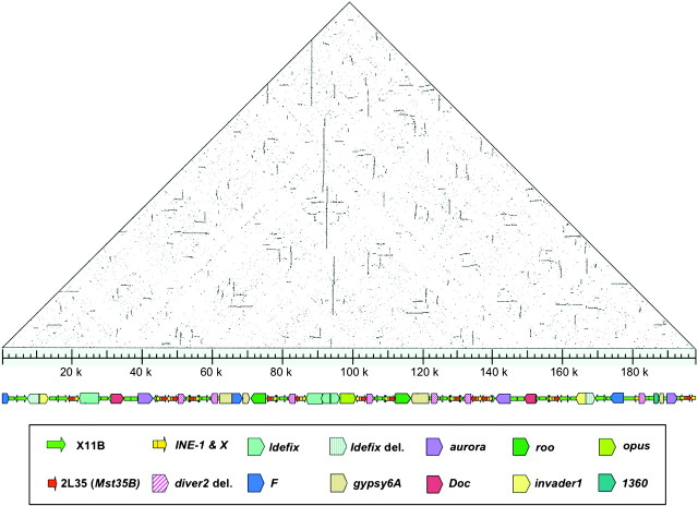 FIG. 1.