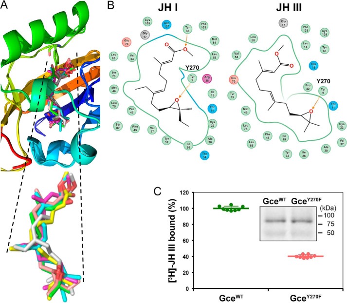 Figure 6.