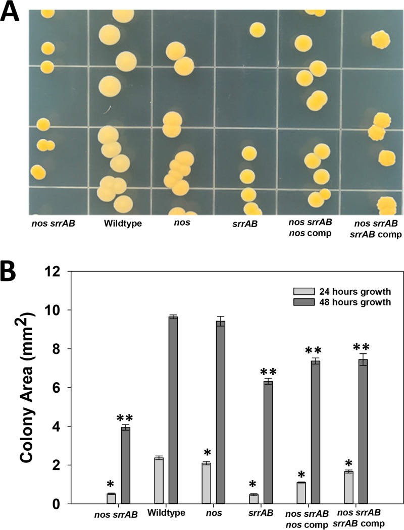 FIG 2