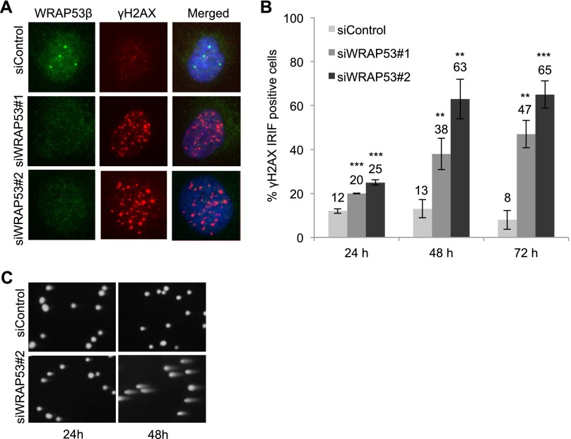 Figure 6.