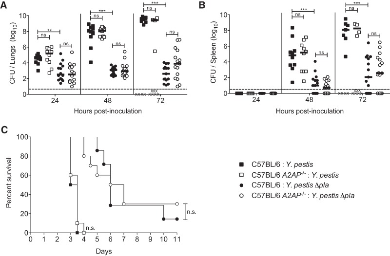 FIG 2