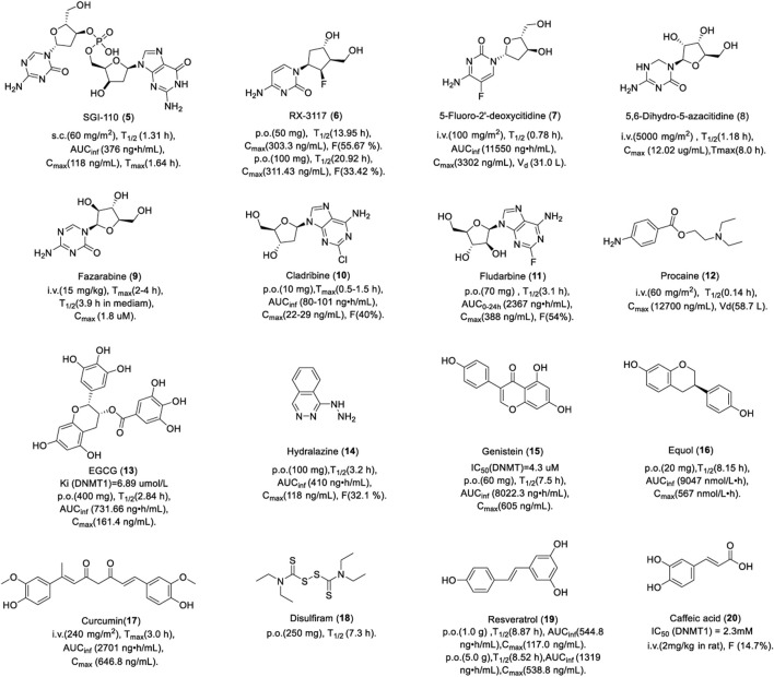 FIGURE 4