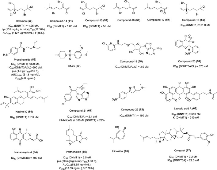 FIGURE 10