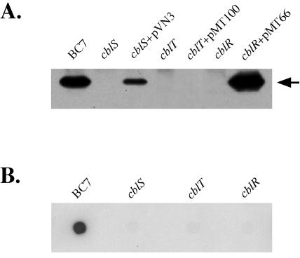 FIG. 3.