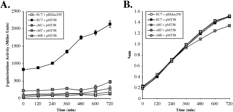 FIG. 5.