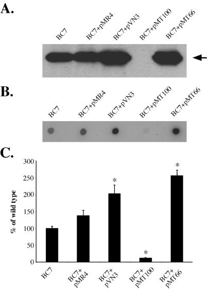 FIG. 6.