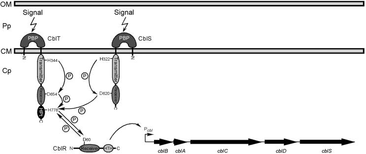 FIG. 8.