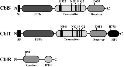 FIG. 2.