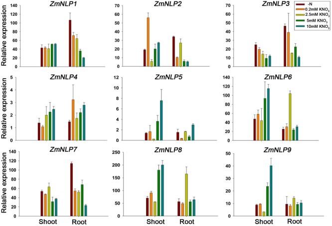 FIGURE 3