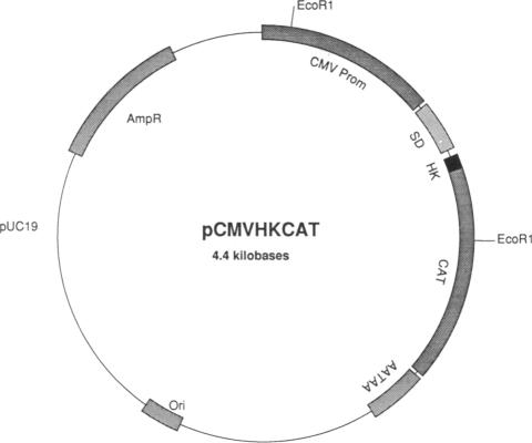 graphic file with name pnas01075-0219-a.jpg