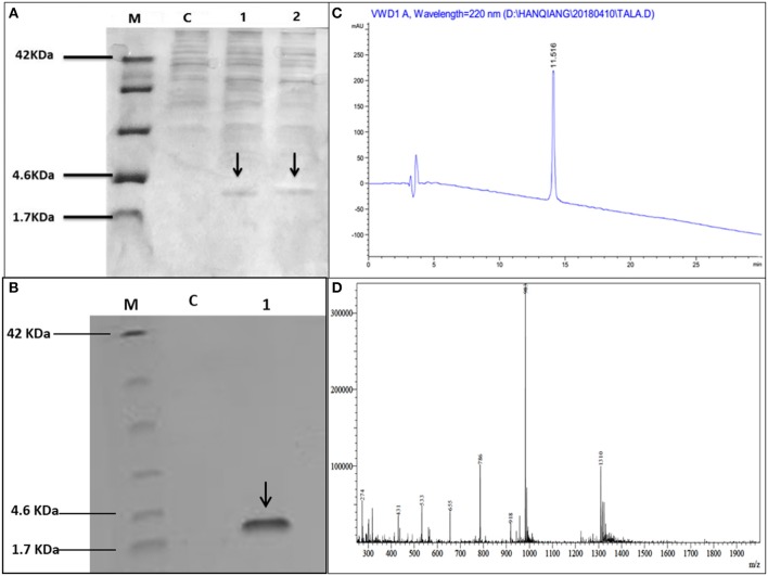 Figure 2