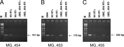 FIG. 2.