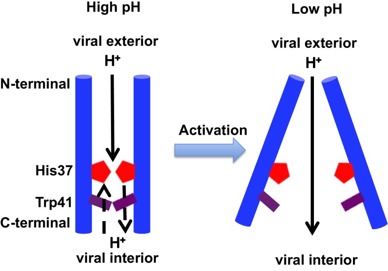 Fig. 4.