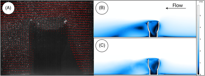 Fig 10