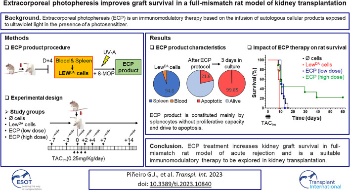 graphic file with name TI_ti-2023-10840_wc_abs.jpg