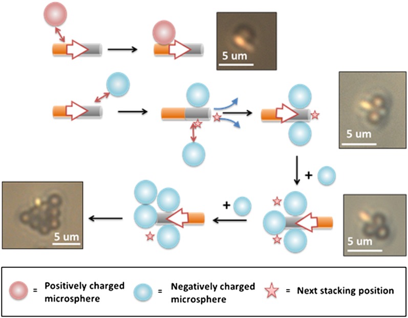 Fig. 4.