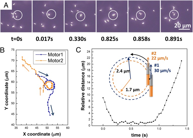 Fig. 3.