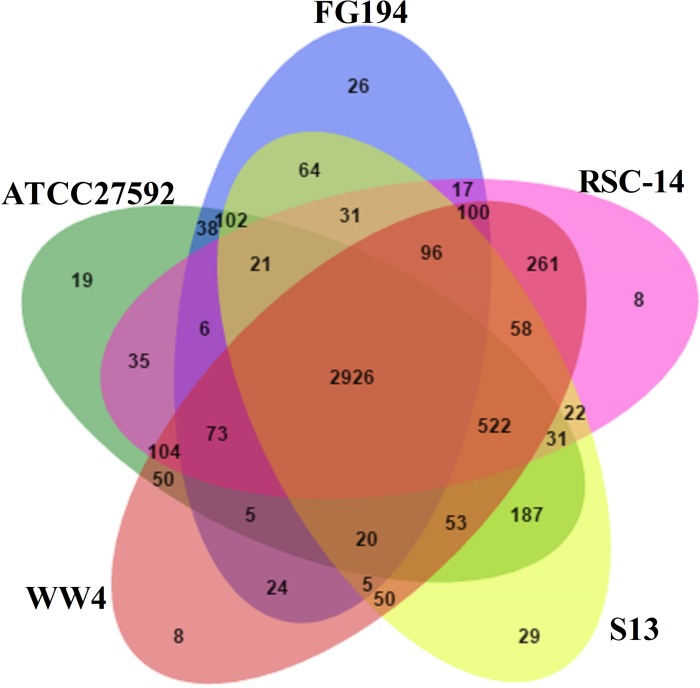 Fig 4