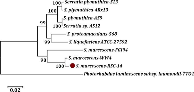 Fig 2