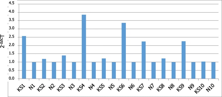 Fig. 2