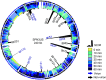 FIG 2