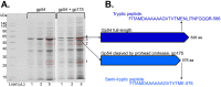 FIG 6