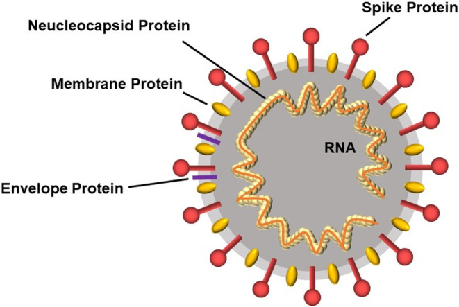 Figure 1 