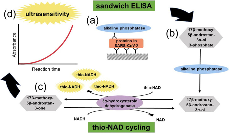 Figure 3 