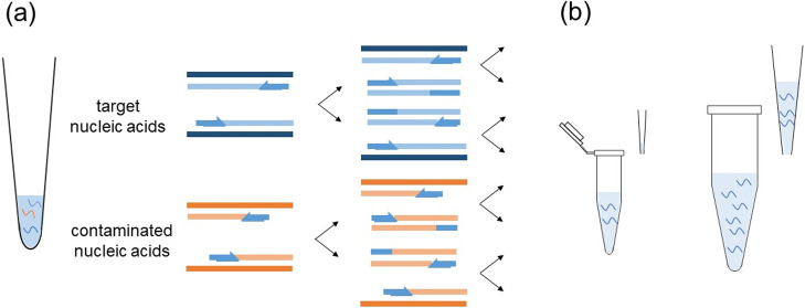 Figure 2 