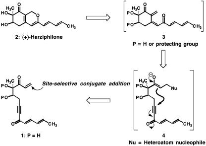 Scheme 2.