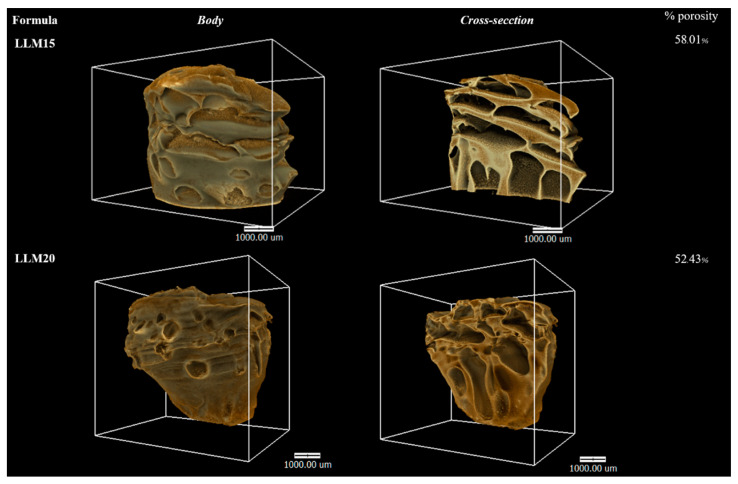 Figure 13