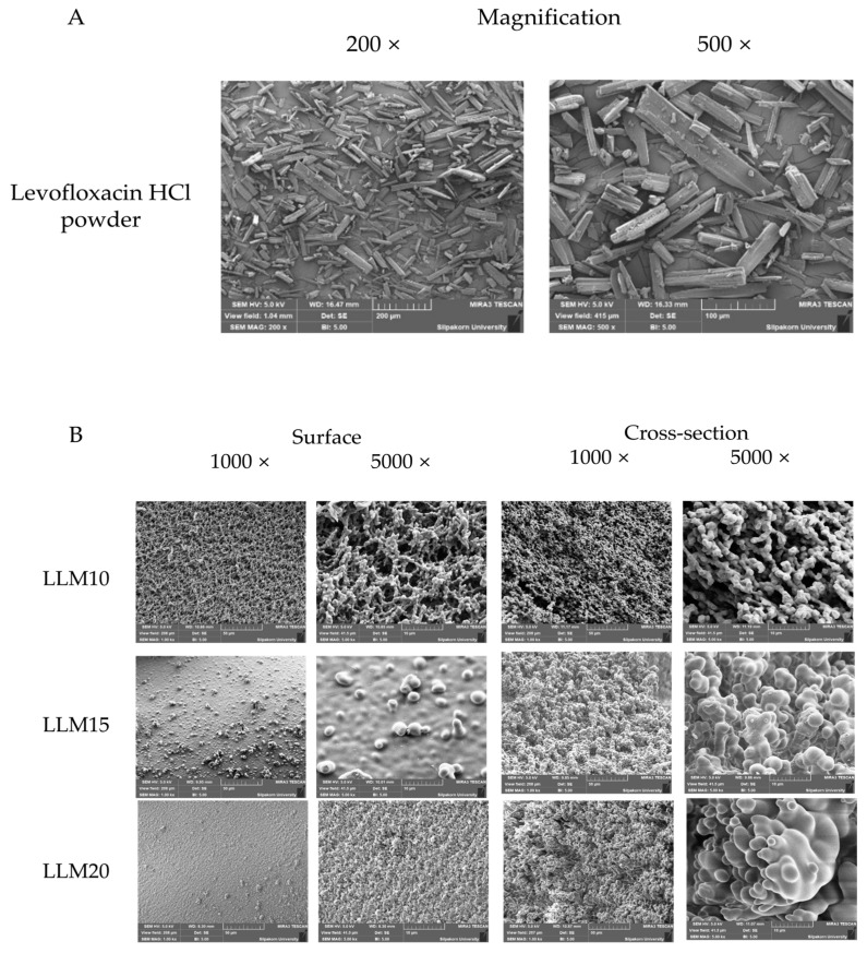 Figure 12