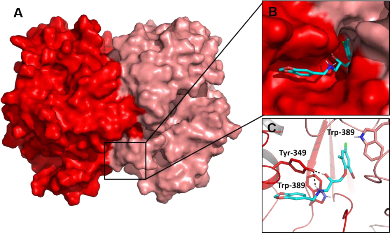 Figure 4.