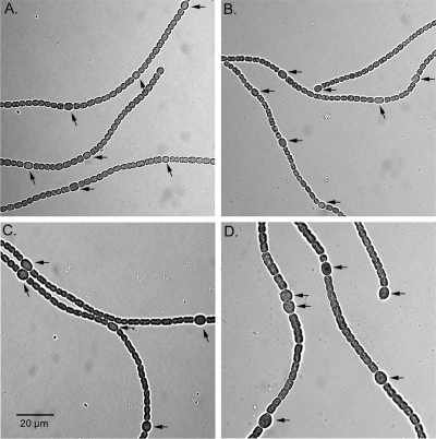 FIG. 8.