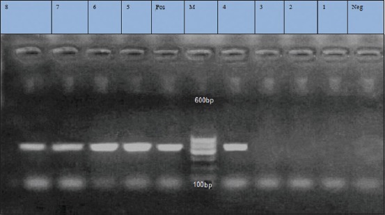 Figure-6