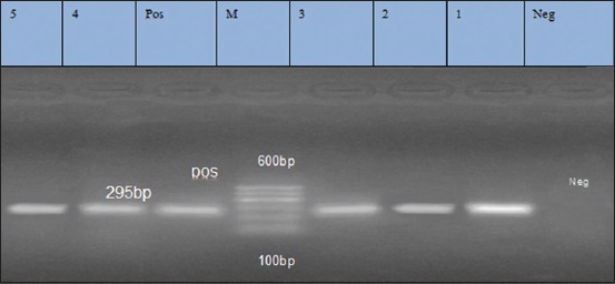 Figure-5