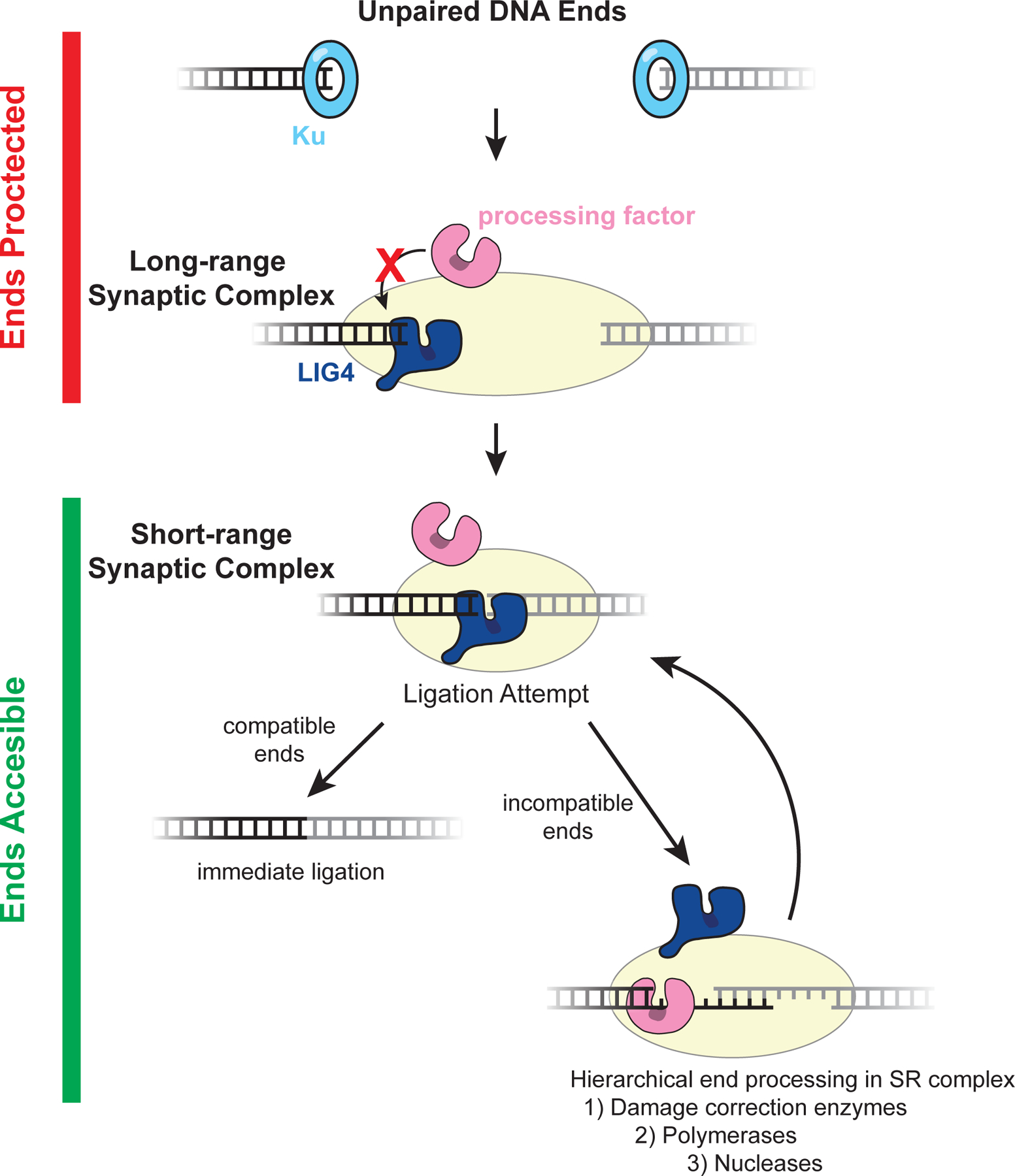 Figure 6: