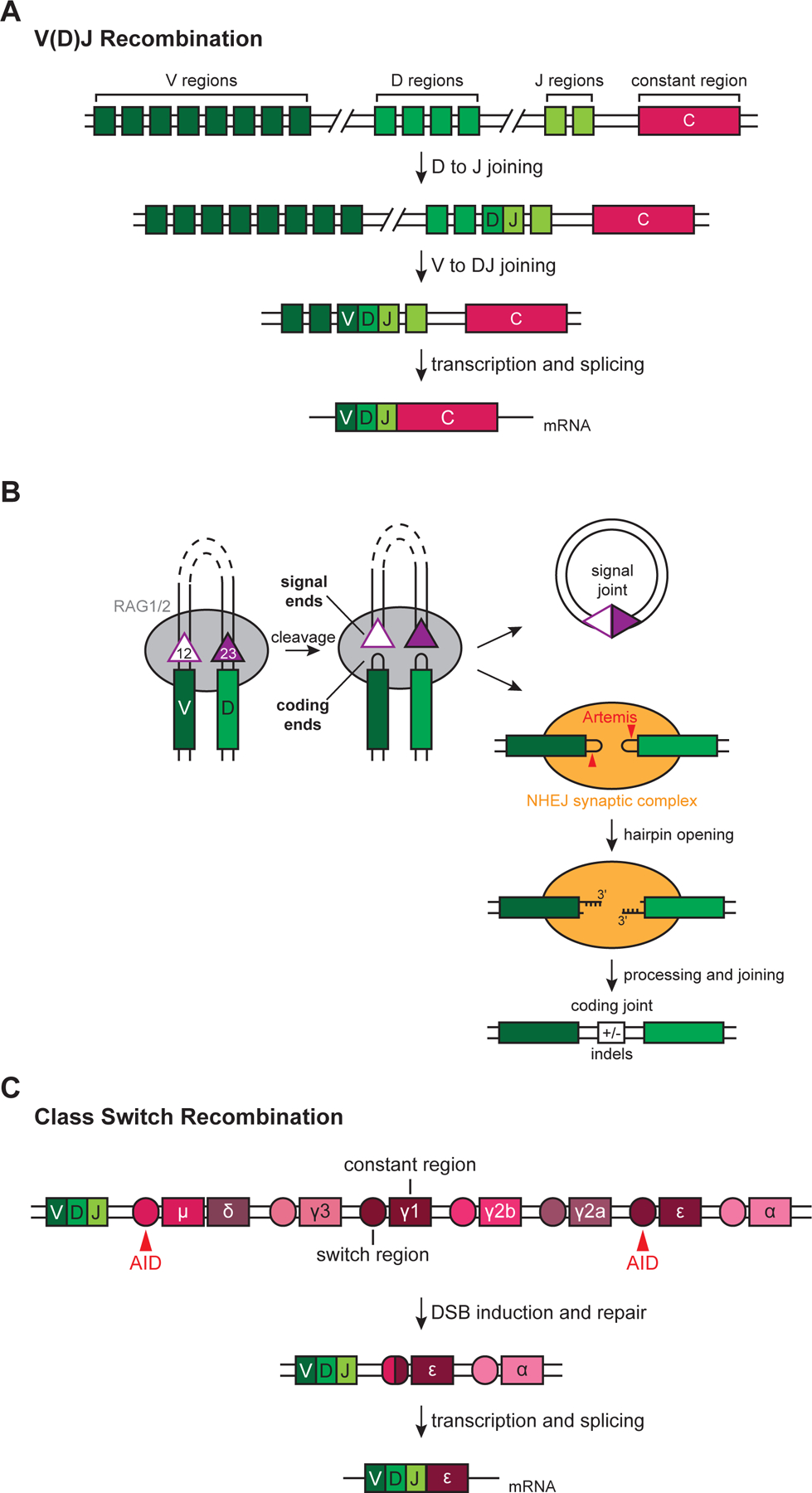 Figure 2: